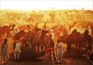 Delhi