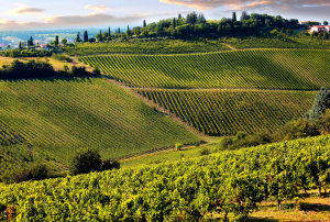3° giorno, i borghi del Chianti