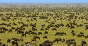 Italia - Kilimanjaro