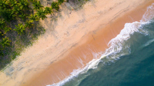 Mararikulam