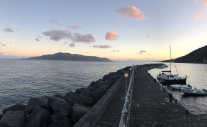 Salina
