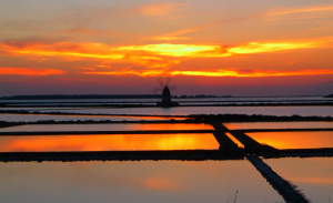 Marsala