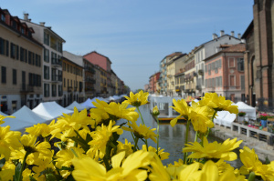Milano, i Navigli