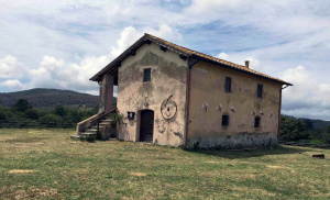 Tolfa