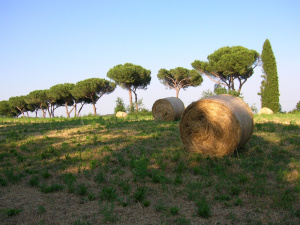 Parco Regionale di Veio