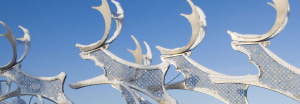 Rovaniemi