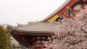 ROMA – TOKYO HANEDA