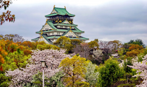 Italia - Tokyo