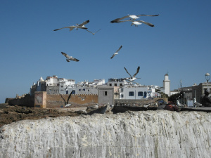 Italia - Casablanca – Marrakech
