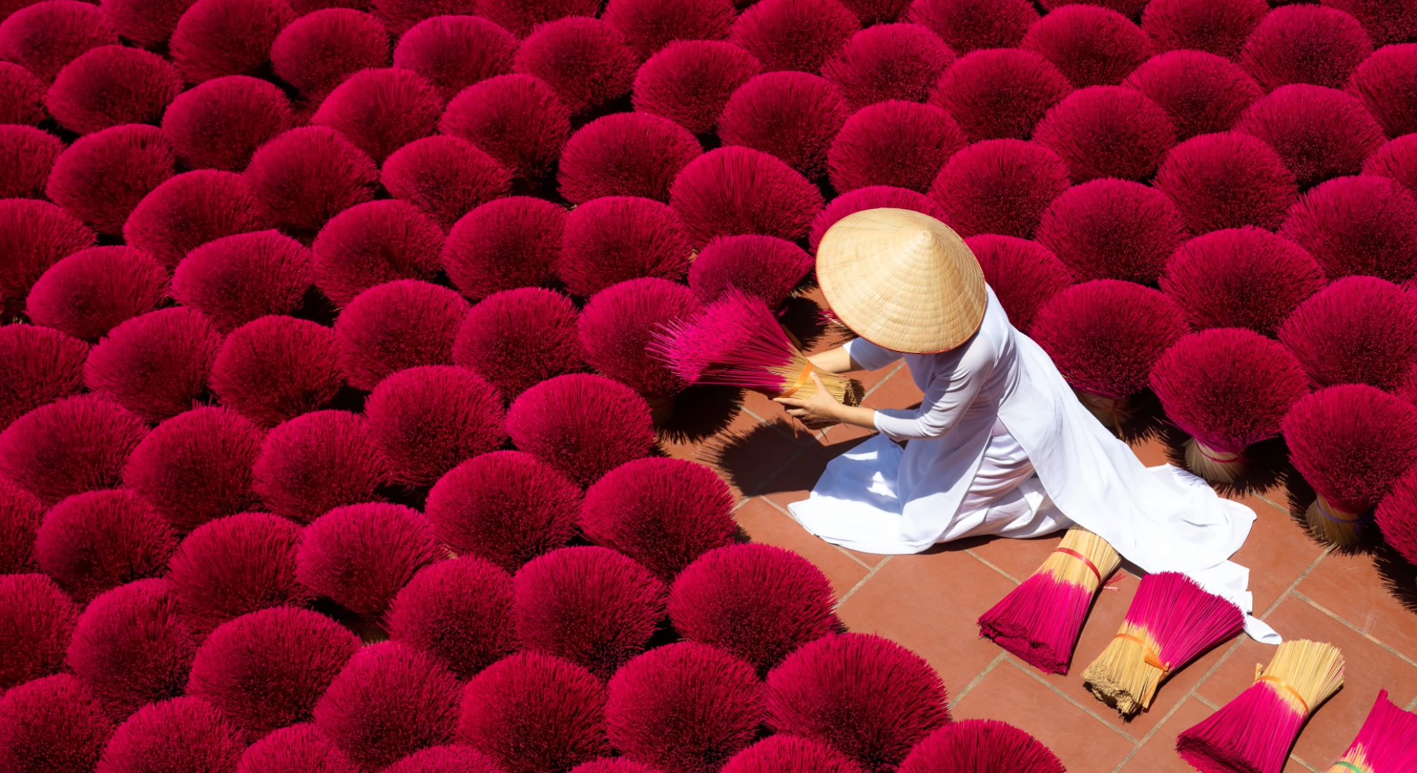 Introduzione al Vietnam