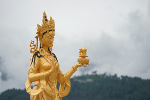 5° giorno	Punakha 