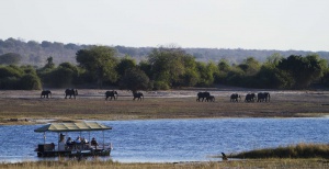 Parco Nazionale Chobe