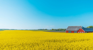 1° giorno,	Italia - Rovaniemi  