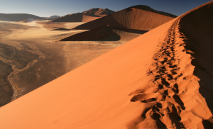 1° giorno, 07 agosto Italia - Windhoek