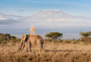 1° giorno, Italia — Nairobi