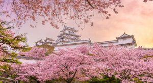 1° giorno, Italia - Tokyo