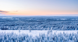 1° giorno, Italia – Umeå