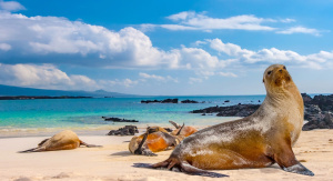 1°giorno,	Italia - Quito