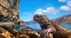 1° giorno, Italia - Lima 