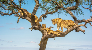 1° giorno, Italia - Kilimanjaro