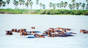 1° giorno, Italia – Dar Es Salaam