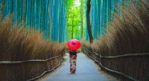 1° giorno, Italia - Tokyo