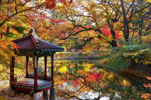 1° giorno,  		Italia – Seoul
