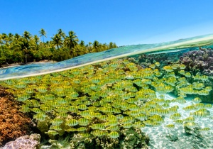 Tahiti