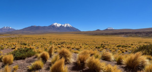 Iquique - Tocopilla - Calama - San Pedro de Atacama (