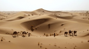Italia – Casablanca – Rabat