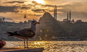 Istanbul