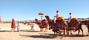 Italia – Delhi