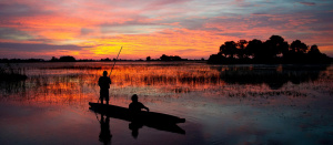 Chobe - Delta dell’Okavango