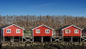 Tromso